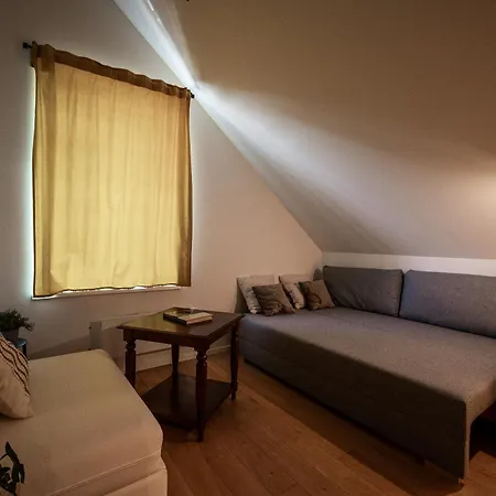 2 Bedroom W-balcony & Ac I Cohost Vilnius